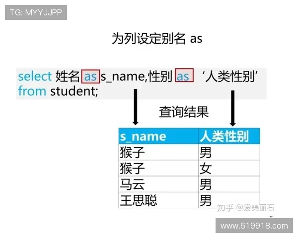 北京赛车历史开奖纪录查询与数据分析